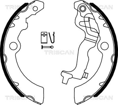 810069005 TRISCAN Комплект тормозных колодок