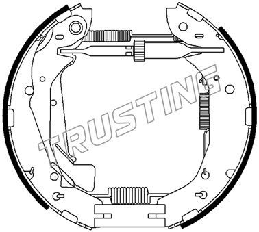6500 TRUSTING Комплект тормозных колодок