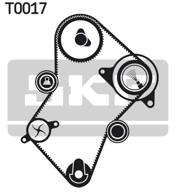 SKF VKMA 03241 Комплект ремня ГРМ