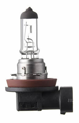 Лампа галогенная H11 12V 55W (586004) Spahn gluhlampen 586004