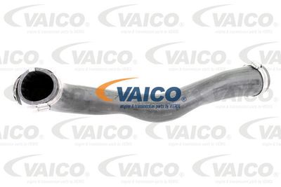 V103817 VAICO Трубка нагнетаемого воздуха