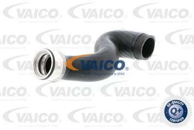 V102922 VAICO Трубка нагнетаемого воздуха