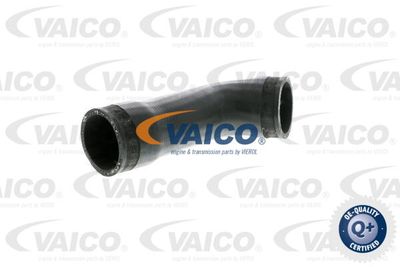 V104372 VAICO Трубка нагнетаемого воздуха