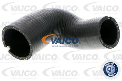 V240699 VAICO Трубка нагнетаемого воздуха