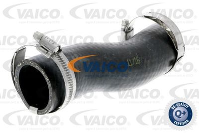 V103790 VAICO Трубка нагнетаемого воздуха