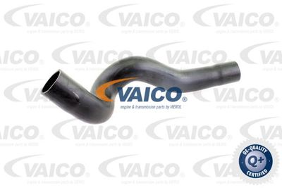 V102840 VAICO Трубка нагнетаемого воздуха