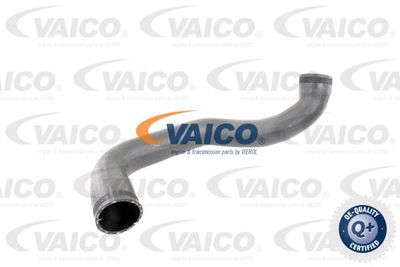 V302450 VAICO Трубка нагнетаемого воздуха
