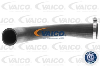 V251041 VAICO Трубка нагнетаемого воздуха