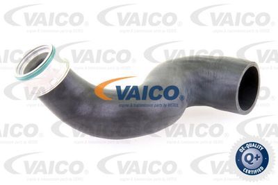 V103825 VAICO Трубка нагнетаемого воздуха