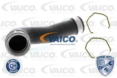 V105302 VAICO Трубка нагнетаемого воздуха