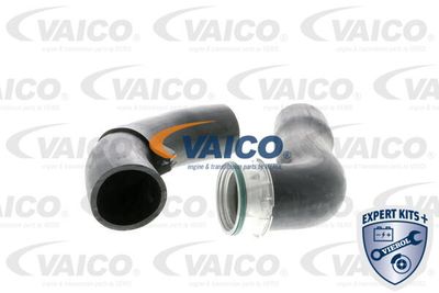 V201615 VAICO Трубка нагнетаемого воздуха