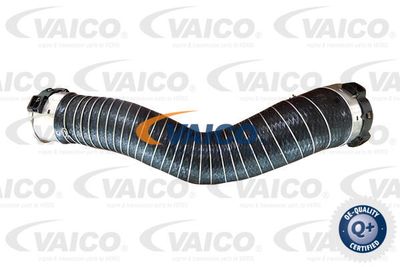 V204354 VAICO Трубка нагнетаемого воздуха