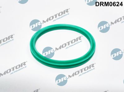 DRM0624 Dr.Motor Automotive Уплотнительное кольцо, трубка нагнетаемого воздуха