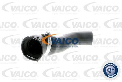 V201620 VAICO Трубка нагнетаемого воздуха
