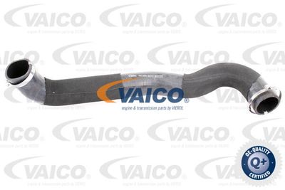 V480070 VAICO Трубка нагнетаемого воздуха
