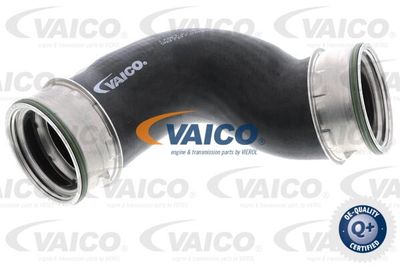 V302647 VAICO Трубка нагнетаемого воздуха