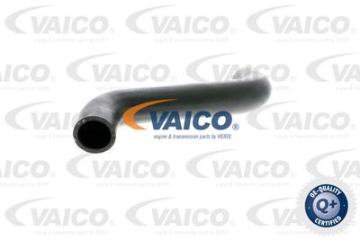 V102886 VAICO Трубка нагнетаемого воздуха