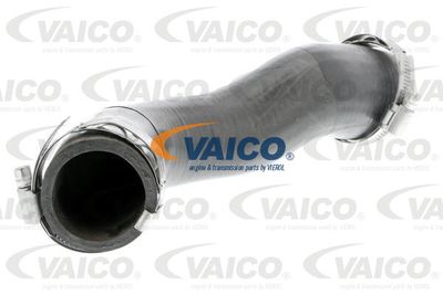 V103791 VAICO Трубка нагнетаемого воздуха