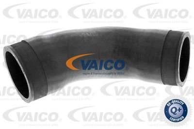 V102884 VAICO Трубка нагнетаемого воздуха