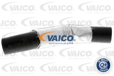V250950 VAICO Трубка нагнетаемого воздуха