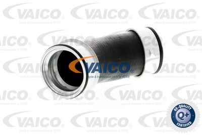 V102900 VAICO Трубка нагнетаемого воздуха