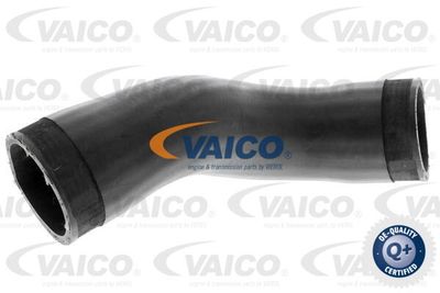 V104387 VAICO Трубка нагнетаемого воздуха