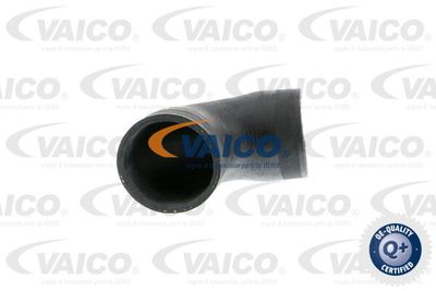 V301782 VAICO Трубка нагнетаемого воздуха