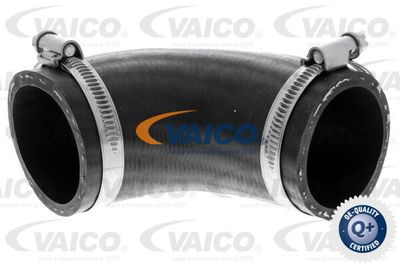 V251016 VAICO Трубка нагнетаемого воздуха