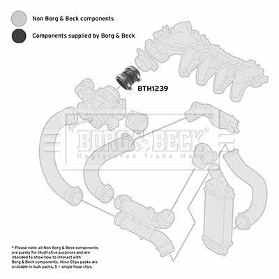 BTH1239 BORG & BECK Трубка нагнетаемого воздуха