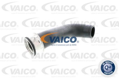 V102703 VAICO Трубка нагнетаемого воздуха