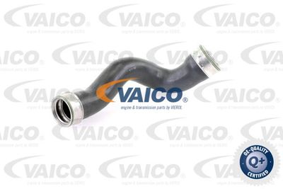 V301779 VAICO Трубка нагнетаемого воздуха