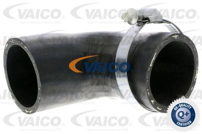 V251020 VAICO Трубка нагнетаемого воздуха