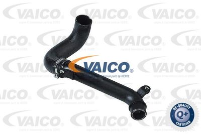 V420595 VAICO Трубка нагнетаемого воздуха