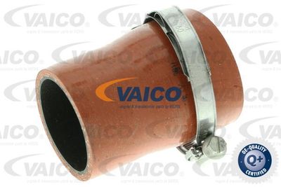 V251035 VAICO Трубка нагнетаемого воздуха