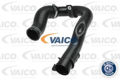 V240709 VAICO Трубка нагнетаемого воздуха