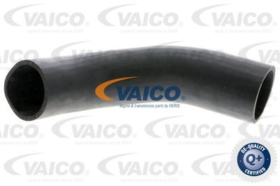 V103779 VAICO Трубка нагнетаемого воздуха