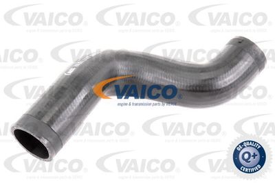 V102910 VAICO Трубка нагнетаемого воздуха