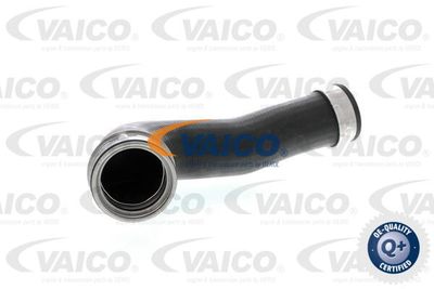 V102700 VAICO Трубка нагнетаемого воздуха