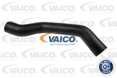 V240680 VAICO Трубка нагнетаемого воздуха