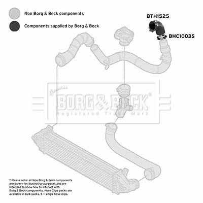 BTH1525 BORG & BECK Трубка нагнетаемого воздуха