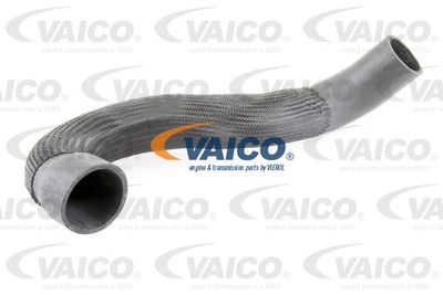 V103833 VAICO Трубка нагнетаемого воздуха