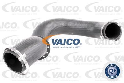 V102835 VAICO Трубка нагнетаемого воздуха