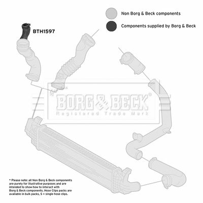 BTH1597 BORG & BECK Трубка нагнетаемого воздуха