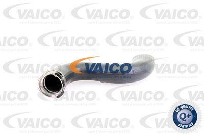 V103778 VAICO Трубка нагнетаемого воздуха