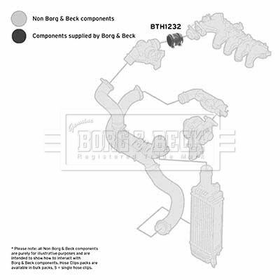 BTH1232 BORG & BECK Трубка нагнетаемого воздуха