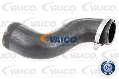 V301797 VAICO Трубка нагнетаемого воздуха