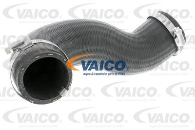 V250989 VAICO Трубка нагнетаемого воздуха