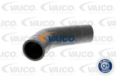 V102888 VAICO Трубка нагнетаемого воздуха