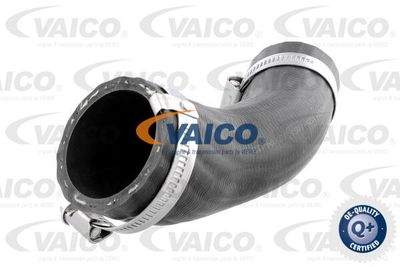 V251051 VAICO Трубка нагнетаемого воздуха