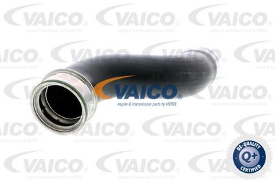 V302244 VAICO Трубка нагнетаемого воздуха